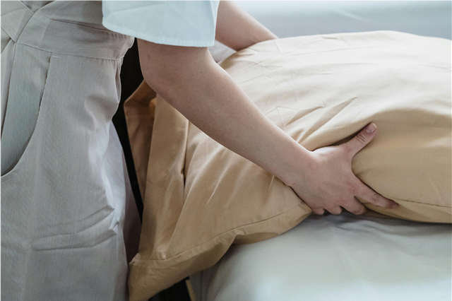 Best Quality Eco-Friendly Wool Pillows For Comfortable Sleep