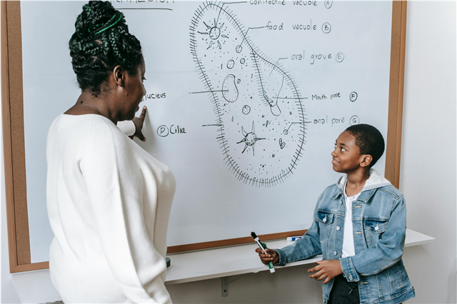 The Role of Technology in Education: Perspectives from On Trend Networks